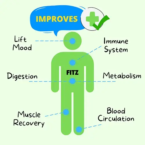 FITZ: Daily Foot Acupressure & Reflexology Massager