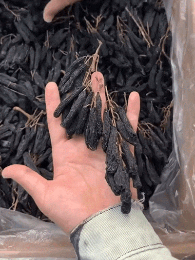 [King of Raisins] Turpan Sapphire Raisins | Helps regulate blood sugar